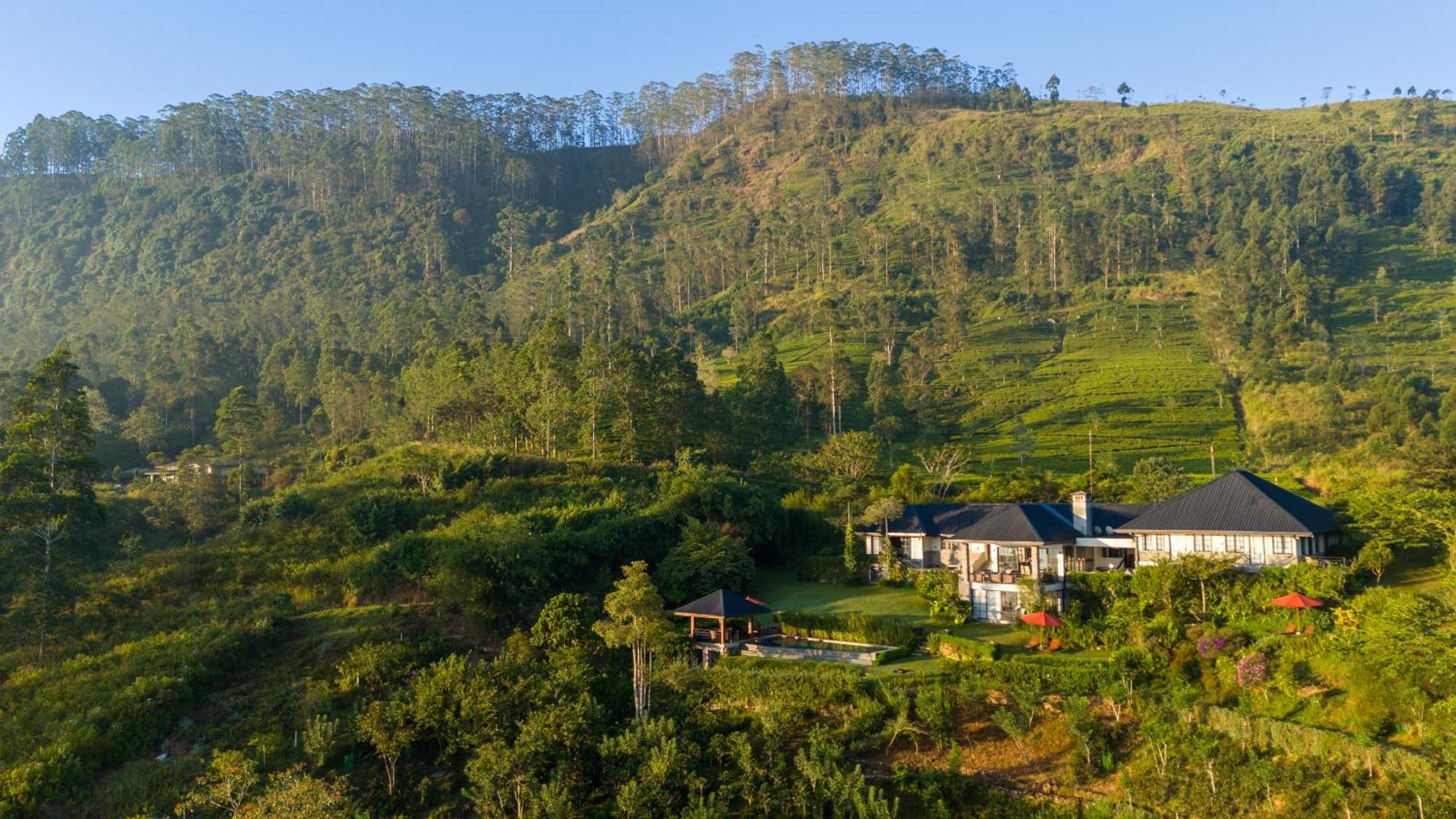 Camellia Hills Hotel Hatton Exterior foto